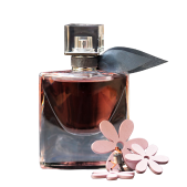 Fragrances